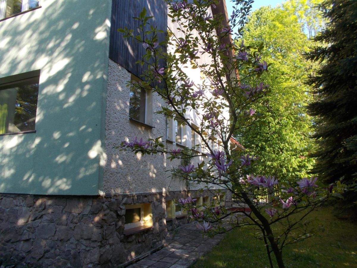 Villa Veronika Lądek-Zdrój Exteriér fotografie
