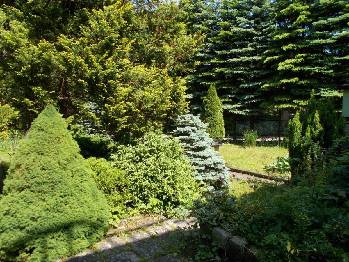 Villa Veronika Lądek-Zdrój Exteriér fotografie