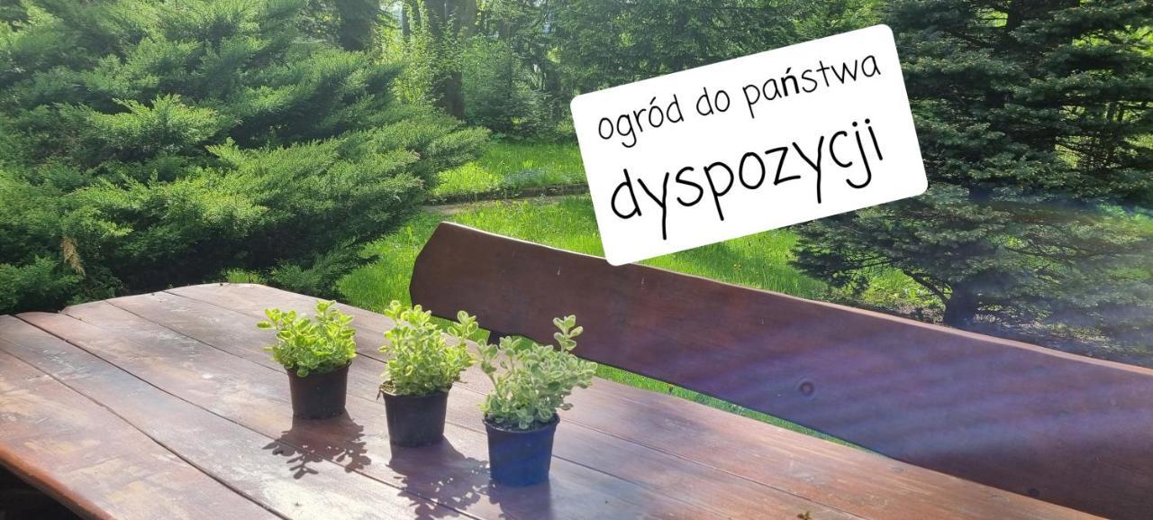 Villa Veronika Lądek-Zdrój Exteriér fotografie