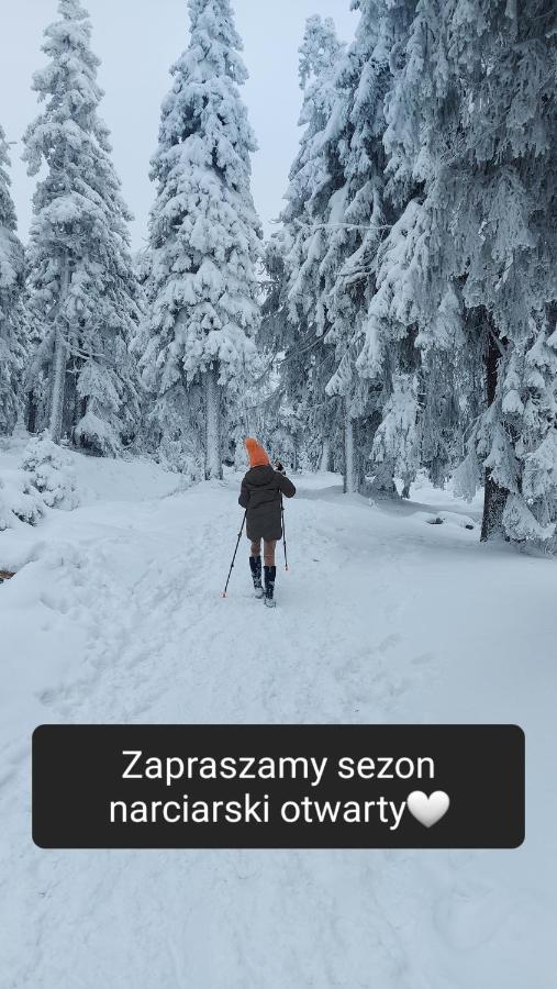 Villa Veronika Lądek-Zdrój Exteriér fotografie