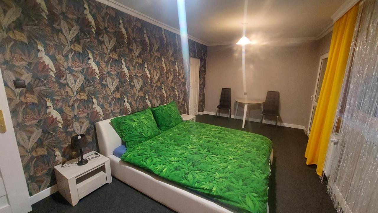 Villa Veronika Lądek-Zdrój Exteriér fotografie