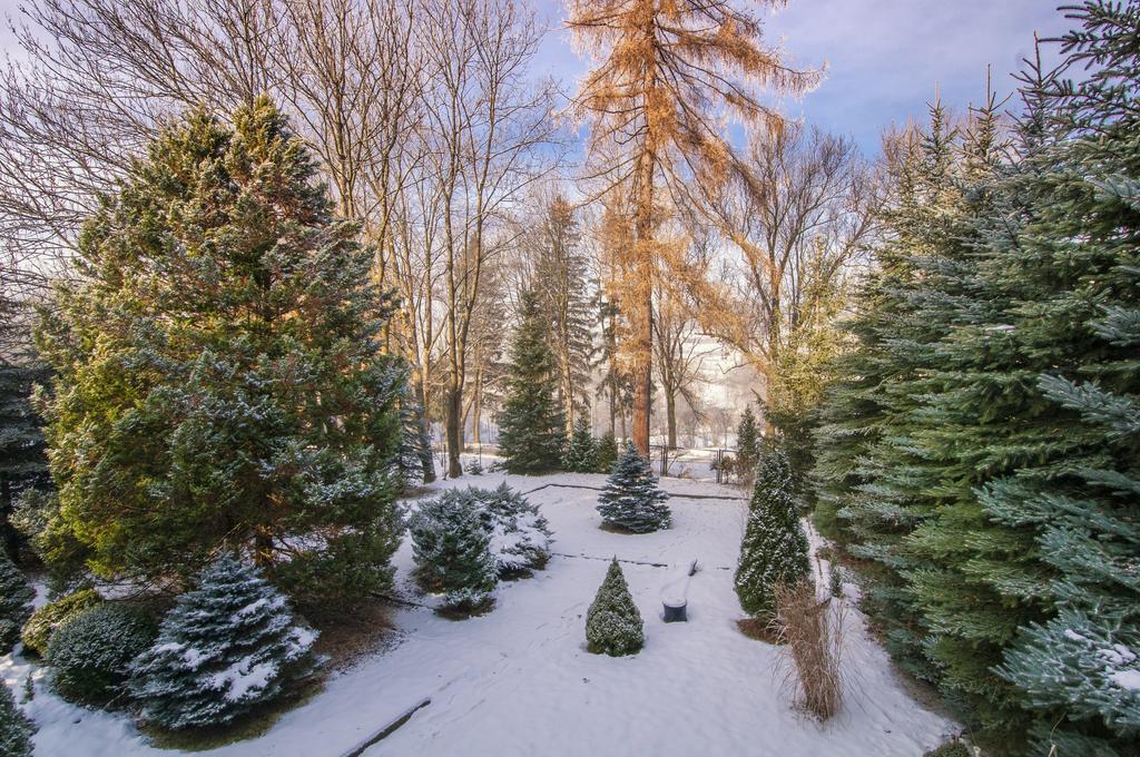 Villa Veronika Lądek-Zdrój Exteriér fotografie